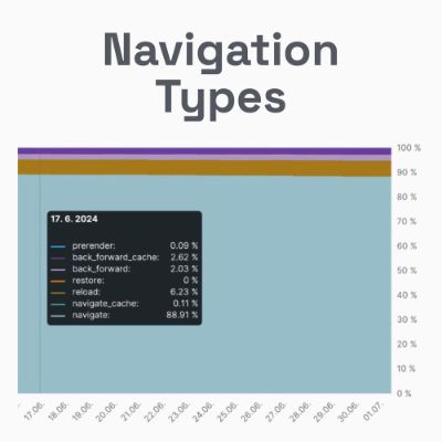 Navigation Types: nový pohled na uživatelskou zkušenost